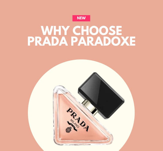 WHY CHOOSE PRADA PARADOXE? - Lookincredible